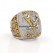 2017 Pittsburgh Penguins Stanley Cup Ring/Pendant